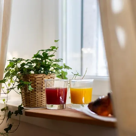 Domus Opimiani Apartment